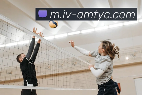 辅助工具 辅助工具